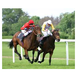 National Hunt Racing at Taunton Racecourse