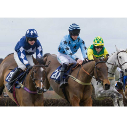 Point to Point at Guilsborough.