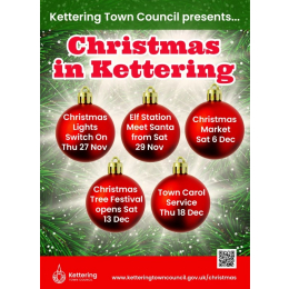 Christmas Lights BIG Switch On!