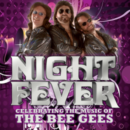 Night Fever - UK BeeGees