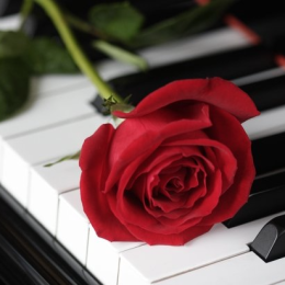 Valentines Moonlight Sonata by Candlelight