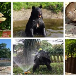 Come and join the animals at Woburn Safari Park this summer!