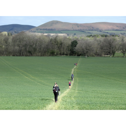 Shropshire Way 80K Festival