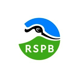 RSPB - Wirral Local Group - "Ospreys at Lake Brenig" - Sarah Callon