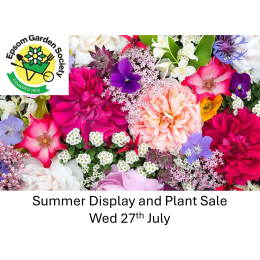 Epsom Garden Society Summer display and plant sale