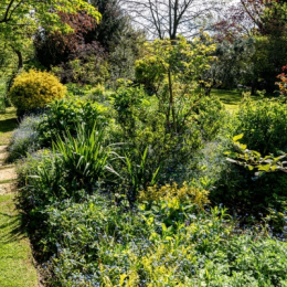 Thundridge Hill House - Open Garden for NGS