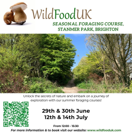 Foraging Courses with Wild Food UK