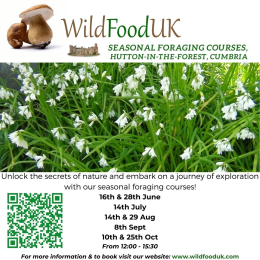 Foraging Courses with Wild Food UK