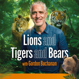 Lions and Tigers and Bears with Gordon Buchanan