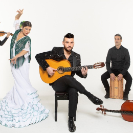 Andalucia - Flamenco & Classical 