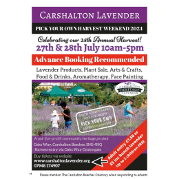 Feast on the colour and aroma of Lavender at Harvest Weekend with Carshalton Lavender @lavenderSM5