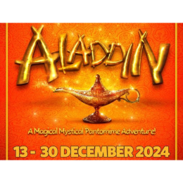 McMillan Theatre - Aladdin