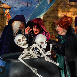 Hocus Pocus Halloween at Mother Shipton's 