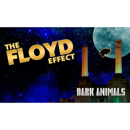 The Floyd Effect – Dark Animals Tour