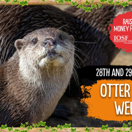 Otter Charity Weekend 28th-29th September 