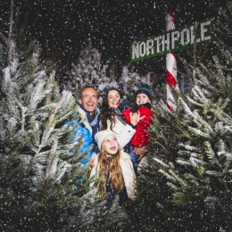 Winter wonderland receives a festive makeover as farm park transports families to the North Pole