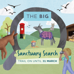 The Big Sanctuary Search Trail