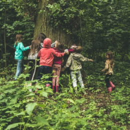 Den Building