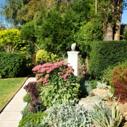 National Garden Scheme  - The Pines, Ware