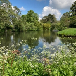 National Garden Scheme - Benington Lordship