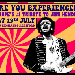Are You Experienced?