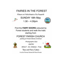 Fairies in the Forest