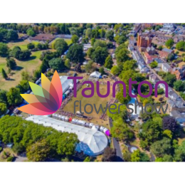 Taunton Flower Show