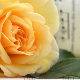Kennet Opera Summer Concert