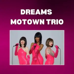 Dreams Motown Trio at Monmore Green Greyhound Stadium