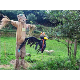 Torteval Scarecrow Festival
