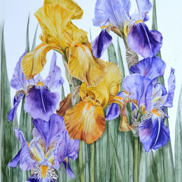 Exploring Senses: The Society of Graphic Fine Art