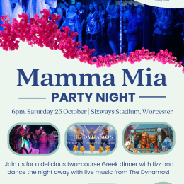Mamma Mia Party