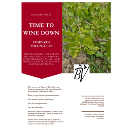 Time to Wine Down – Vineyard Volunteers at Buzzards Valley