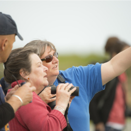 RSPB Rainham Marshes Birdwatching for Beginners