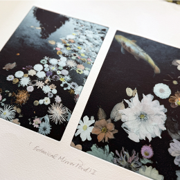 Photopolymer Etching Weekend with Bev Hayes