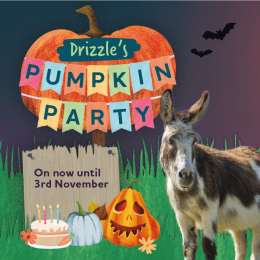 Drizzle's Pumpkin Party Halloween Trail