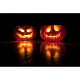 Halloween Fun & Skeleton Hunt at The Darwin, Shrewsbury