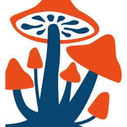 Familiar Fungi for First-Timers