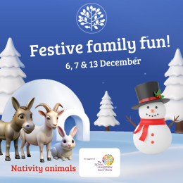 Festive Family Fun at Ashtead Park Garden Centre
