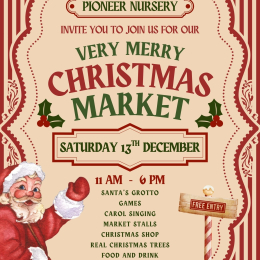 Very Merry Christmas Market