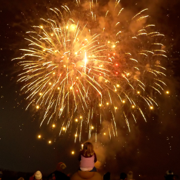 Award winning firework experts help to  illuminate Staffordshire skies 