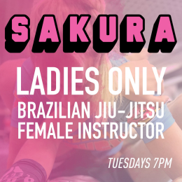 Ladies Jiu-Jitsu Programme in Walsall