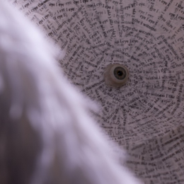 Charlotte Cooper: Eye, the Witness