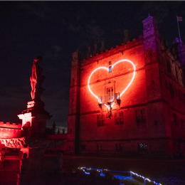 Dreamy Place X Bright Winter Nights