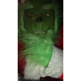 💚 🎅 BREAKFAST WITH THE GRINCH & SANTA 🎅 💚 at The New Scabby Oss Cafe Darlaston