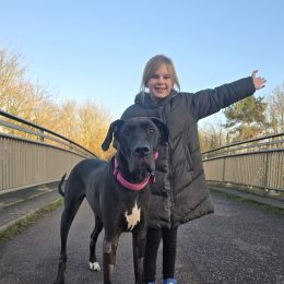 Walk 100 Miles With Your Dog