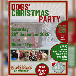 Dog's Christmas Party at Cosalea Walshaw