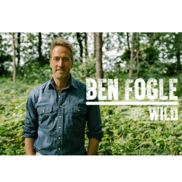 Ben Fogle : WILD