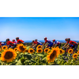 MATT RENDELL's Inside stories of the Tour de France