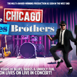 The Chicago Blues Brothers